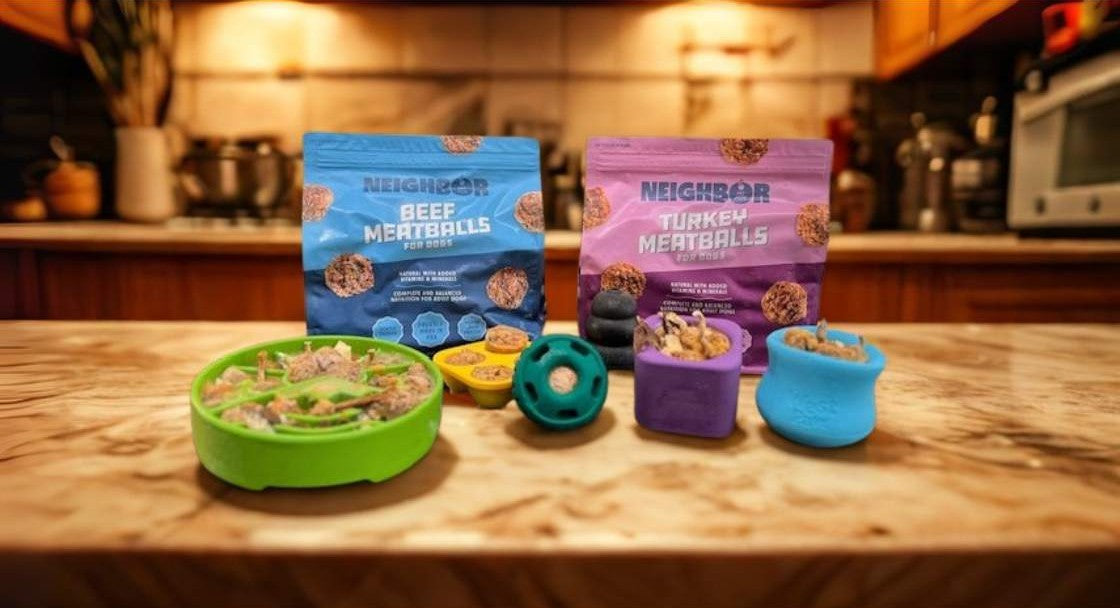 The Power of Enrichment Toys (and Why Our Meatballs Are the Secret Weapon)