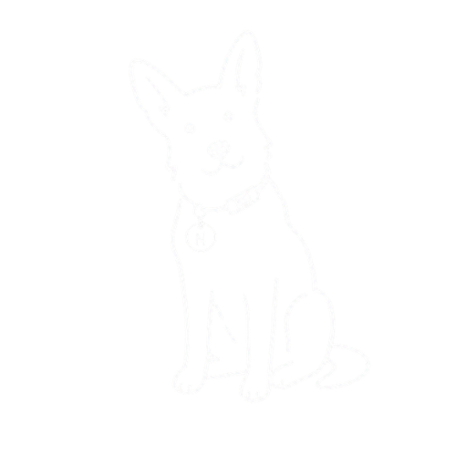 Neighbor dog