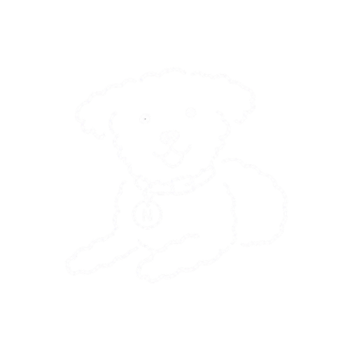 Neighbor dog