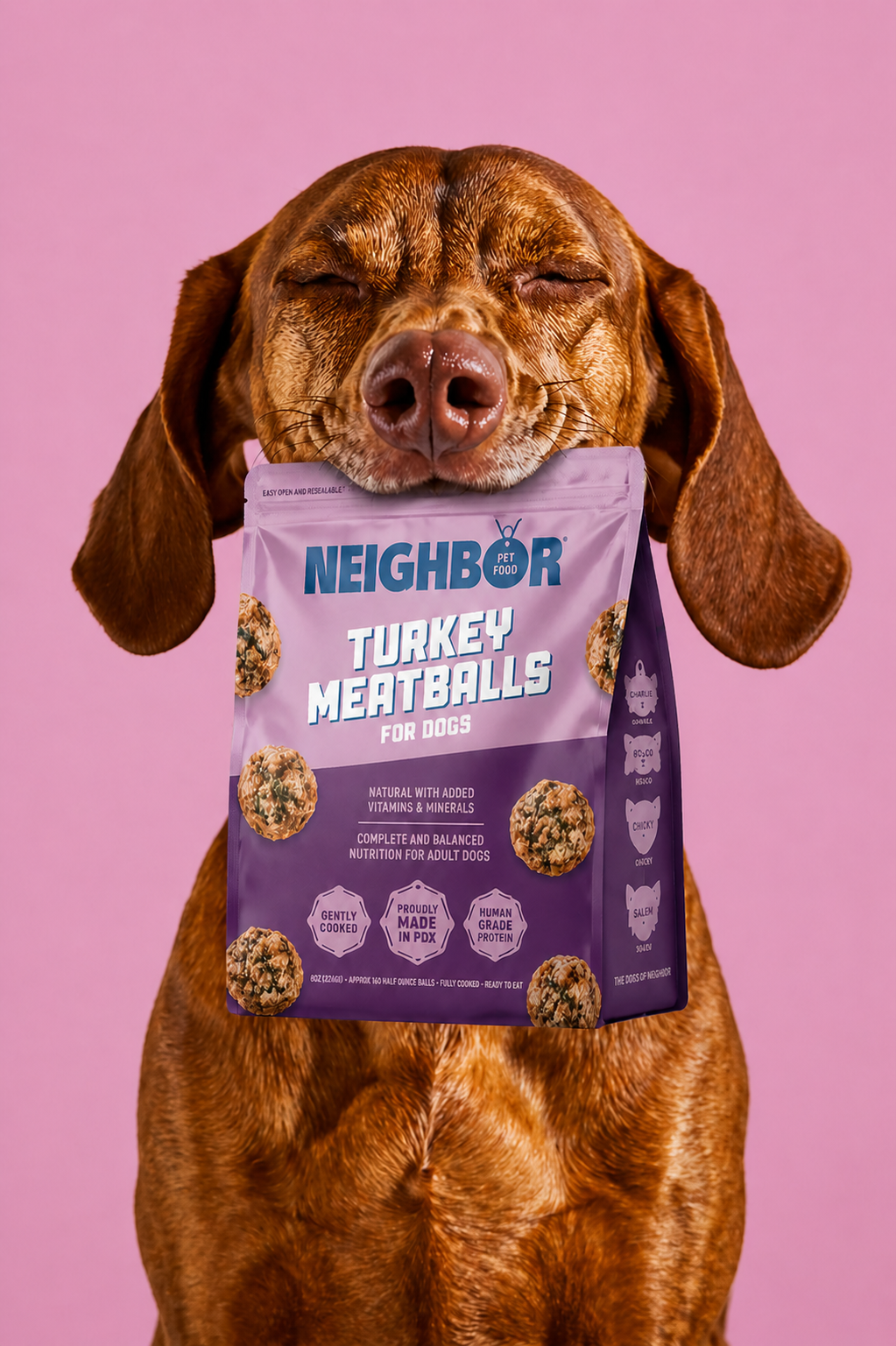 Turkey Meatballs For Dogs