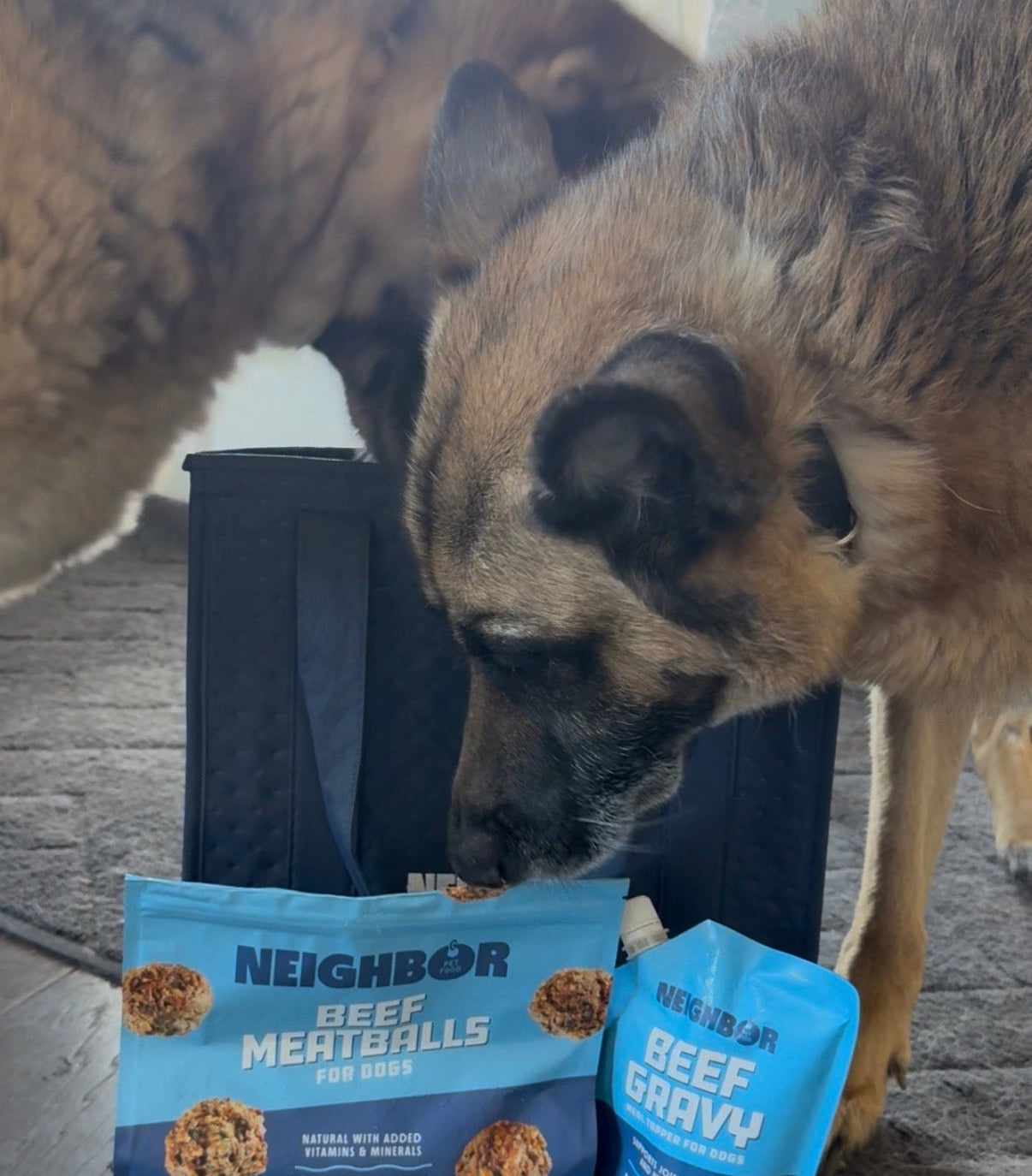 新品 neighborhood DOG FOOD STOCKER ドッグフード Neighbor Pet Food - Fresh Pet Food Made By Your Neighbors in the PNW